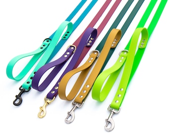 May include: A collection of five dog leashes in teal, purple, mustard yellow, dark green, and lime green. Each leash features a smooth, flat strap, a looped handle, silver or gold-toned metal hardware, and a swivel snap hook at the end.