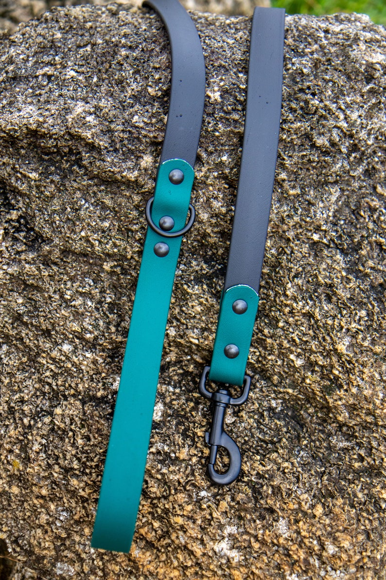 Hunter Green Twotoned Biothane Dog Leashes Waterproof Dog Etsy