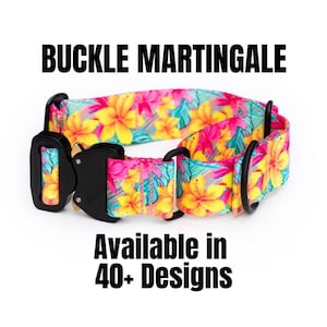 Buckle Martingale Dog Collar: Durable Pet Gear, Available in 40+ Designs