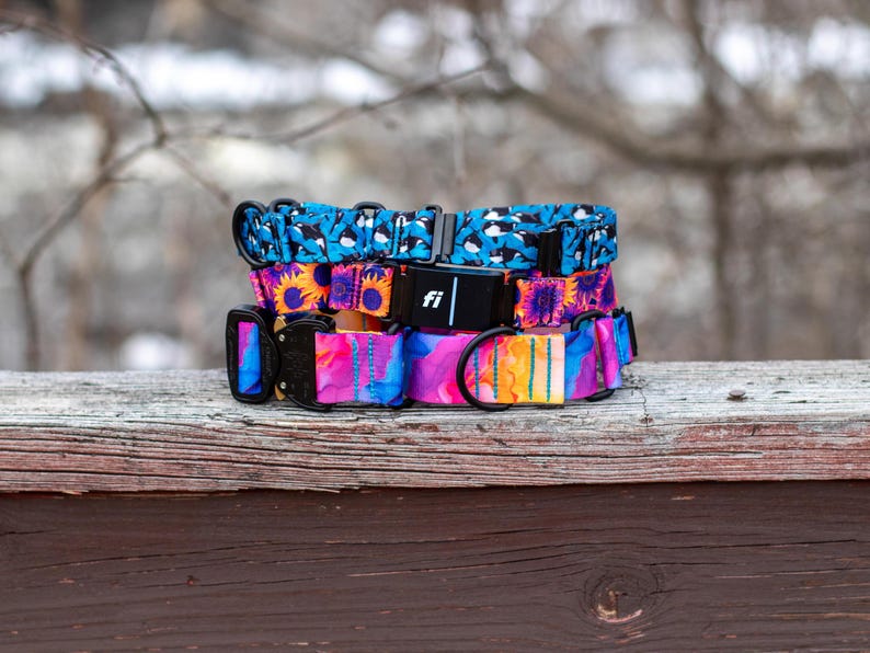 Puede incluir: Una pila de tres collares para perros con patrones vibrantes. El collar superior es azul con formas blancas, el del medio tiene girasoles y el inferior es una mezcla de rosa, azul y naranja. Cada collar tiene una hebilla negra.