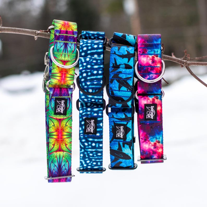 May include: Four dog collars with metal D-rings and black plastic buckles. Each collar features a unique pattern: a vibrant neon geometric print, a blue whale shark dot pattern, a blue shark silhouette print, and a pink and blue nebula design.