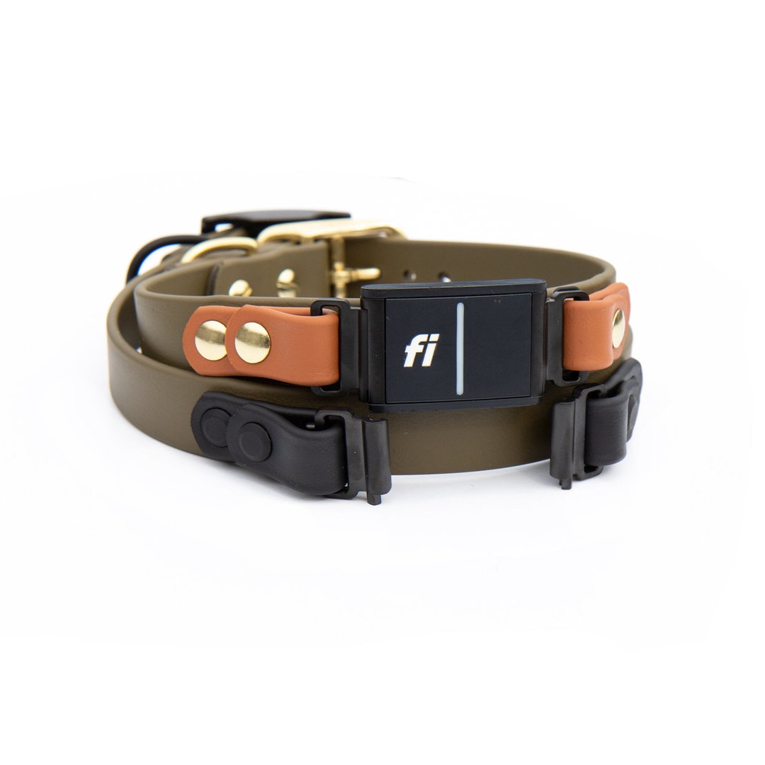 Fi Series 3 Compatible 3/4 or 1 Over the Band Biothane Dog Collar Two