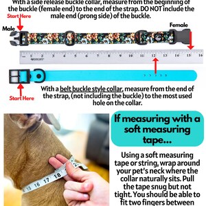 Puede incluir: Imagen que muestra c&oacute;mo medir el collar de un perro. Incluye instrucciones para collares con hebilla de liberaci&oacute;n lateral y hebilla de cintur&oacute;n. Tambi&eacute;n muestra c&oacute;mo medir con una cinta m&eacute;trica flexible. Texto: "Si mide el collar actual de su cachorro..."