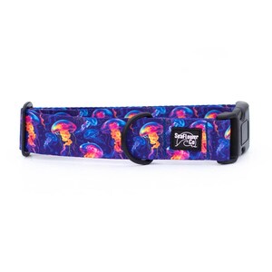 Neon Jellyfish Dog Collar | Beach Dog Collars | Boat Dog Pet Collar | Vibrant Nautical Print | Colorful Trendy Dog Collar | Fun Martingale