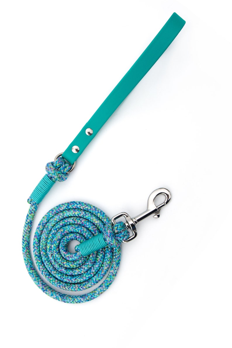 Rope Dog Leash Teal BioThane Dog Leashes Stainless Steel Etsy