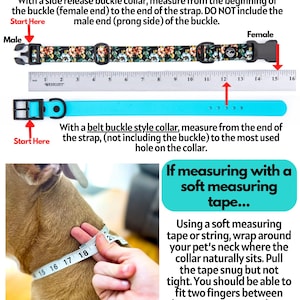 May include: An instructional graphic showing how to measure a pet collar. It features a floral side-release buckle collar and a solid turquoise belt-style collar next to a 16-inch Westcott ruler, plus a photo of a dog being measured with a tape.