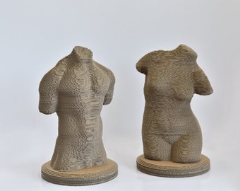 Cardboard 3D Man | Woman Torso