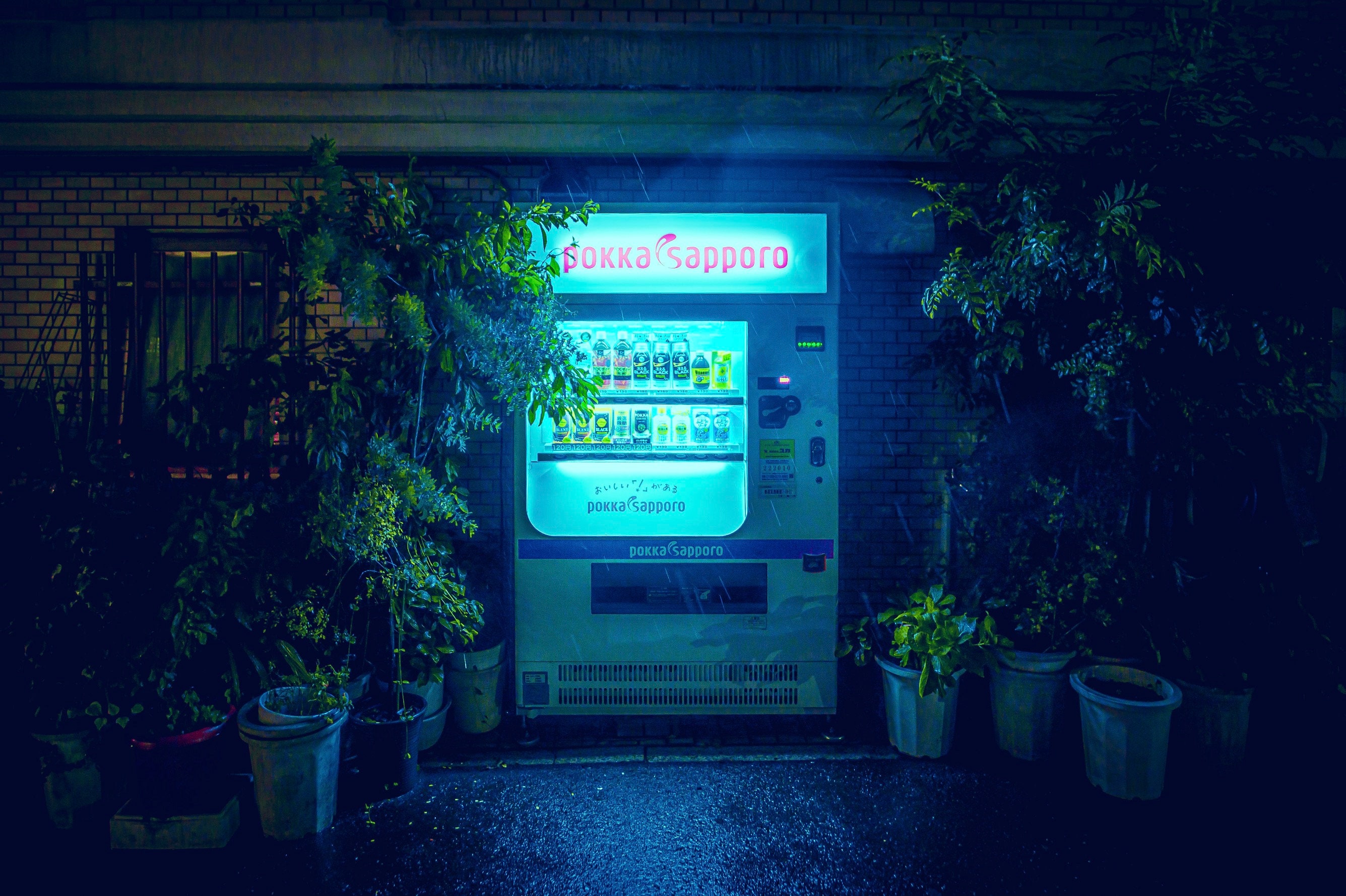Poster Japanese Vending Machine in the Midnight Rain. Dark - Etsy Canada