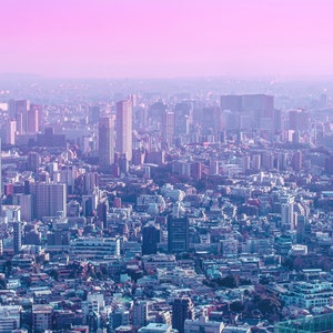 Puede incluir: Una vista panor&aacute;mica de un horizonte urbano con edificios altos y un cielo rosado brumoso en el fondo.