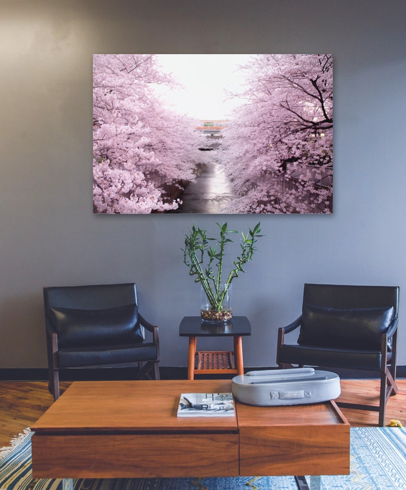 May include: A living room interior with two black leather chairs, a wooden coffee table, a potted plant, and a framed print of a river flowing through a canopy of pink cherry blossoms.