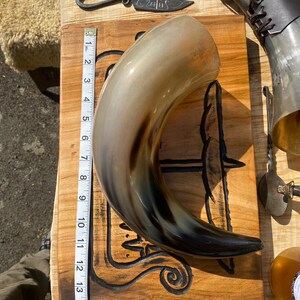 Drinking Horn, Viking, Medieval, BBQ image 4