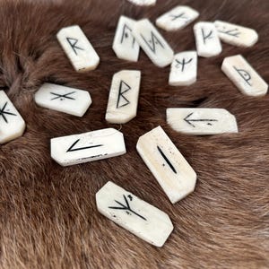 Peut inclure: Un ensemble de runes en os blanc avec des marques noires sur un fond de fourrure brune. Les runes sont disposées de manière dispersée.