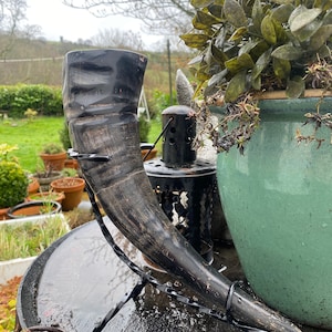 Buffalo Drinking Horn