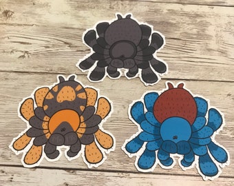 Species Variations Tarantula Sticker - Laminated sticker