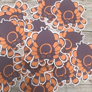 Brachypelma smithi - Rode Knie Tarantula Sticker - Laminaat Sticker