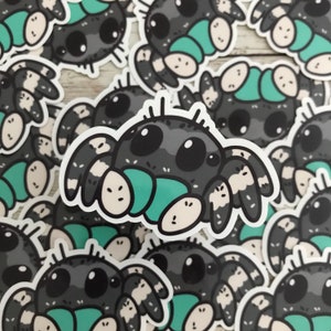Bold Jumping Spider Sticker - Laminated sticker