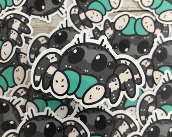 Bold Jumping Spider Sticker - Laminated sticker
