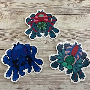 Soorten Variaties Tarantula Sticker - Kleurrijke Vogelspinnen - Gelamineerde sticker