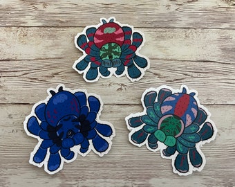 Species Variations Tarantula Sticker - Colorful Tarantulas - Laminated sticker