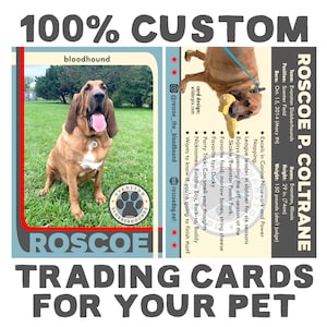 Digital file only - Custom Trading Cards for your pet!