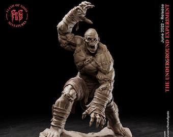 Flesh Golem - The Underground Experiment - Flesh of Gods Wargaming D&D DnD