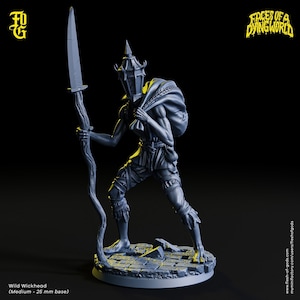 Outcast (Wild Wickhead) - Faces of a Dying World - Flesh of Gods - Wargaming D&D DnD