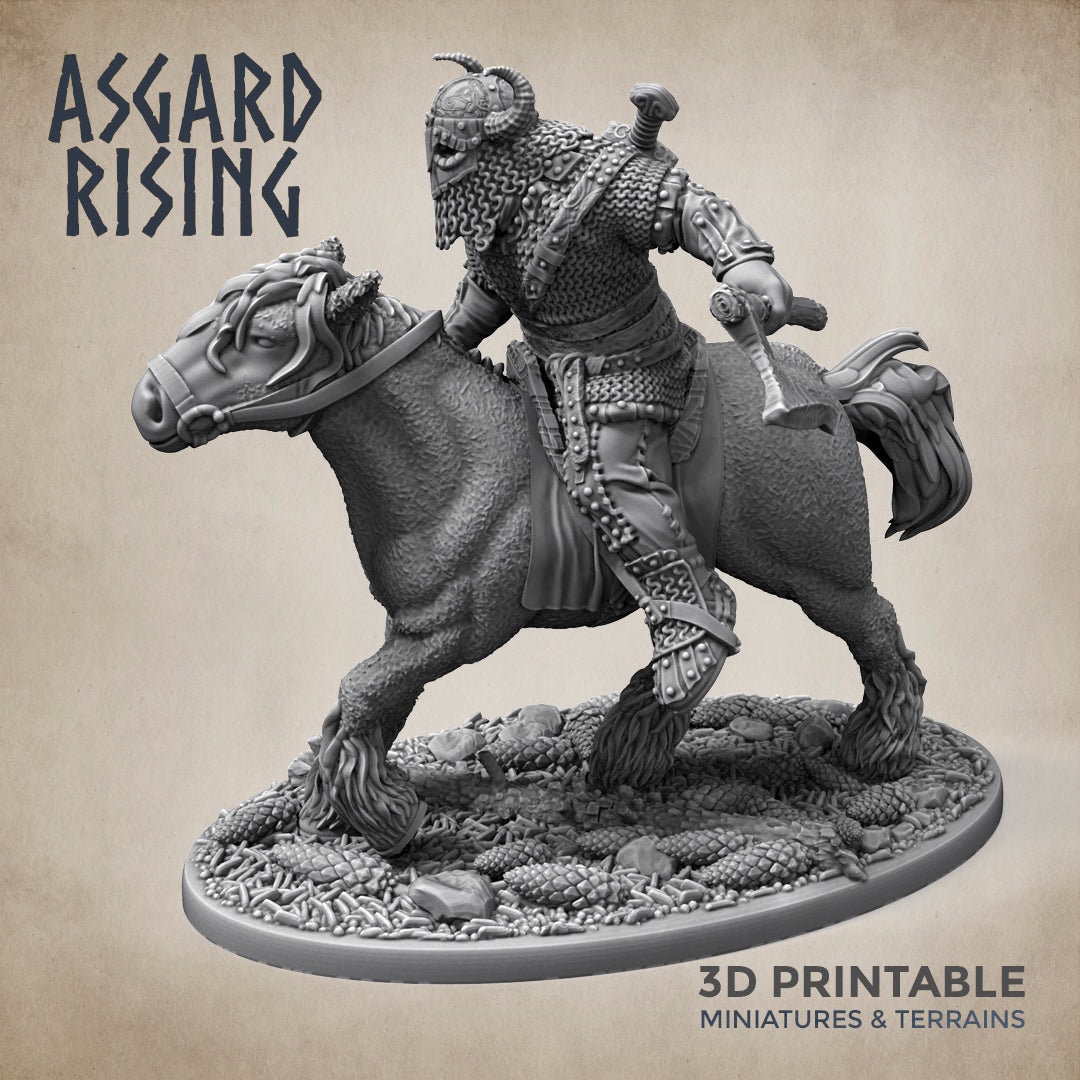 Norse Viking Rider Warband Set - Asgard Rising Miniatures - Wargaming D ...