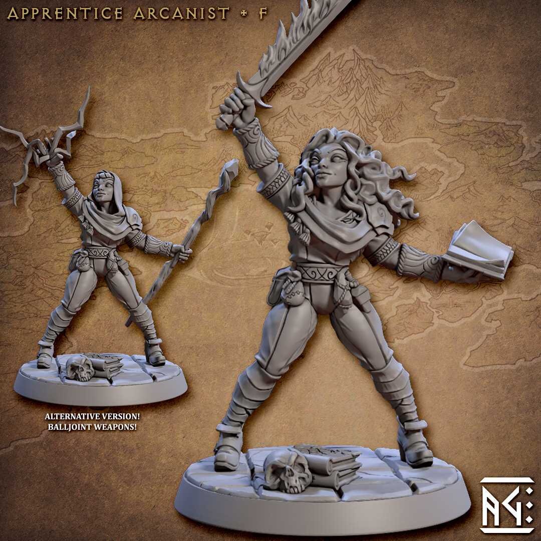 Apprentice Arcanist F Arcanist Guild Artisan Guild Minis Wargaming D&D ...