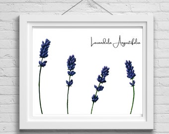 Lavender Flowers Painting PDF Downloadable Nature Herbalism Art Kitchen Violet