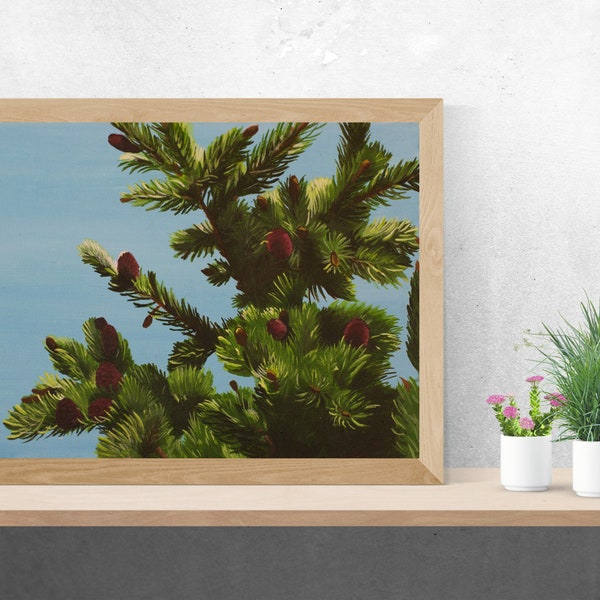 Printable Red Cone Norway Spruce Painting Nature Trees Evergreen Conifer Pine Cones