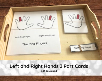 Left and Right Hands Fingers Thumbs Three-Part Cards Montessori