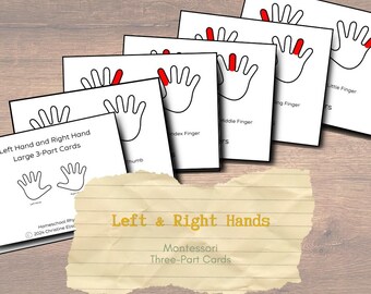 Left and Right Hands Fingers Thumbs Three-Part Cards Montessori