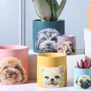 May include: Five ceramic plant pots with different dog breeds painted on them. The pots are in various colours, including pink, yellow, blue, purple, and teal. Each pot features a different dog breed, including a poodle, a pug, a French bulldog, a dachshund, and a terrier.