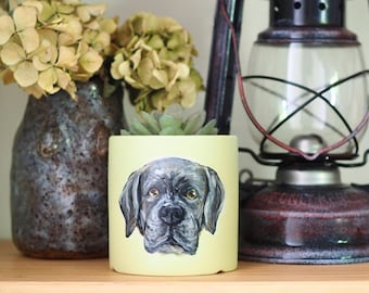 Custom Pet Portrait Planter: Hand-Painted Colorful Ceramic Pot (Small)