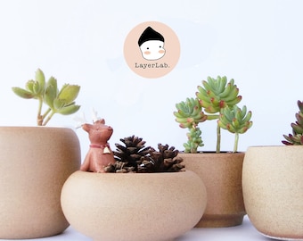 Brown Clay Planter: Artistic Pottery for Succulents