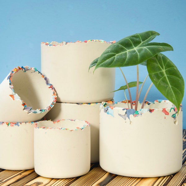 Betontopf | Vanille Cupcake | 4 Zoll | 6 Zoll