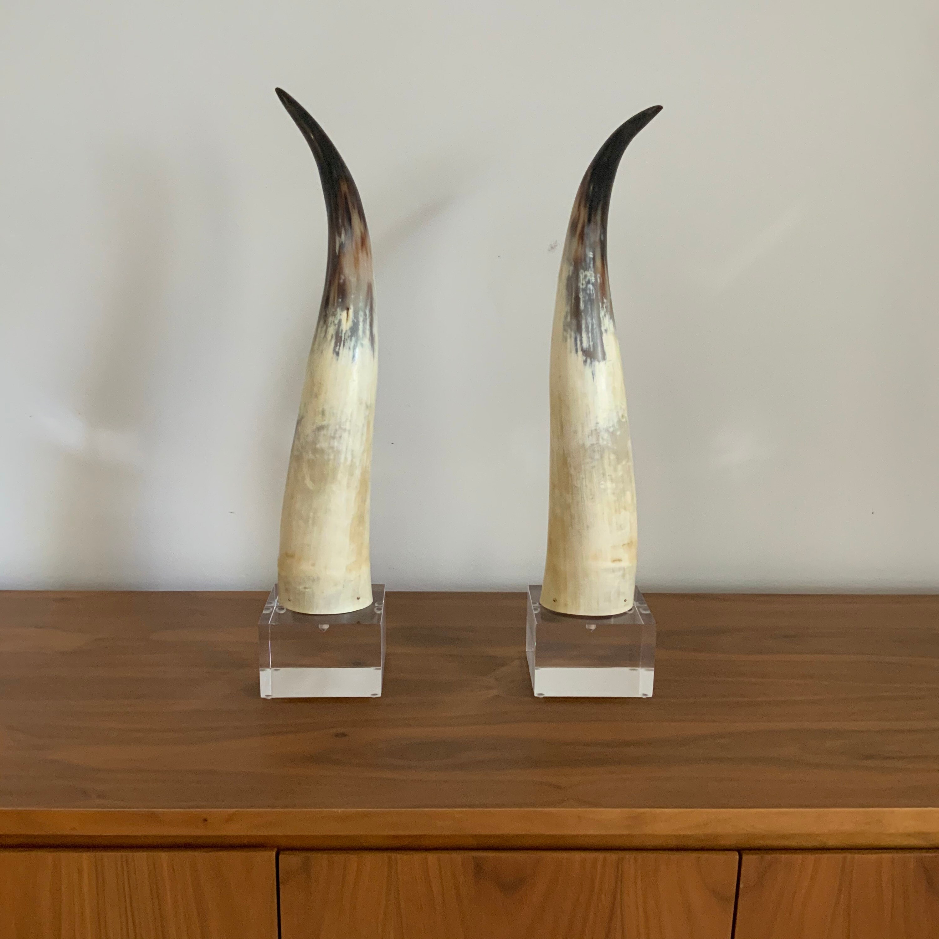 Pair of Natural Bull Horns Mounted on Lucite Base. Etsy