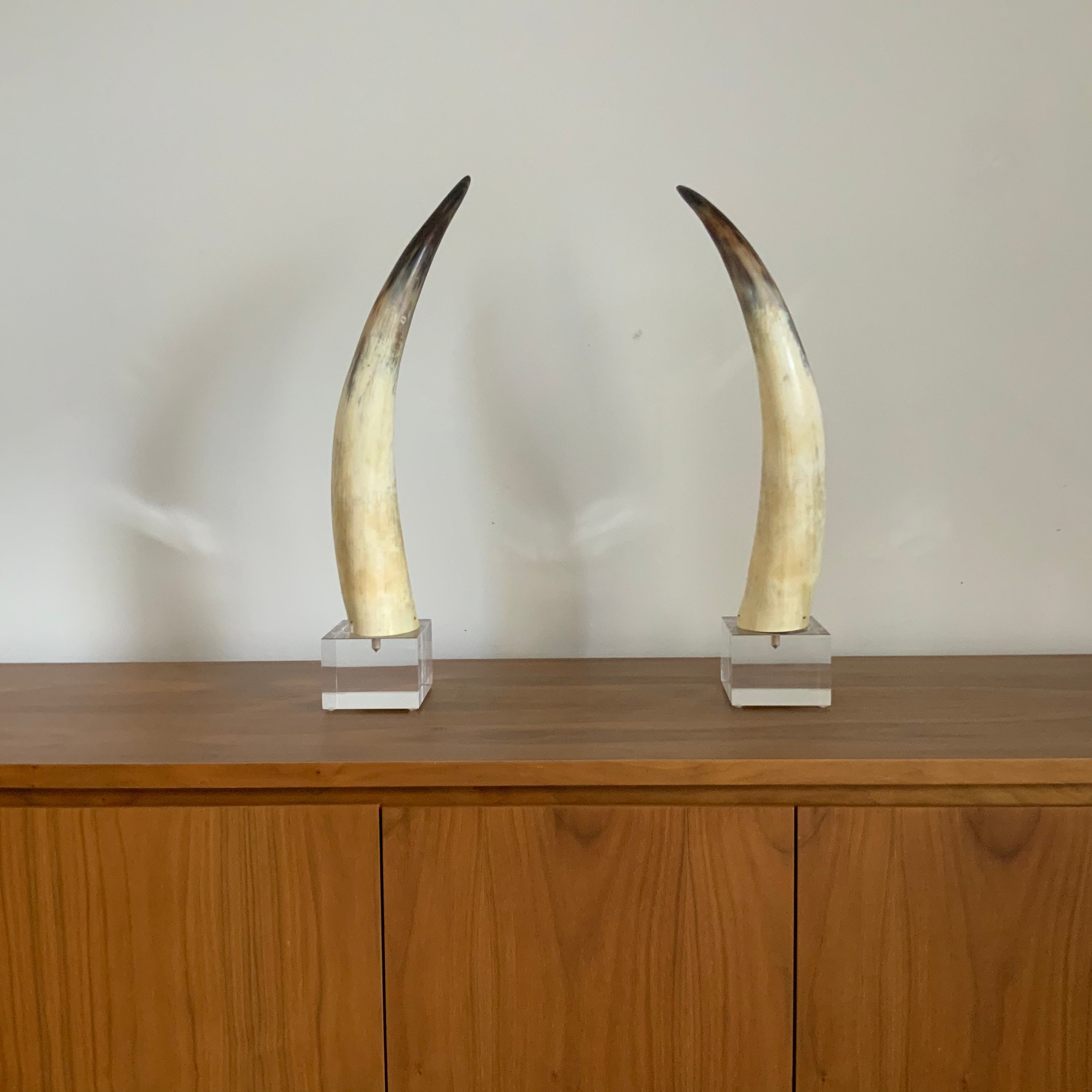 Pair of Natural Bull Horns Mounted on Lucite Base. Etsy