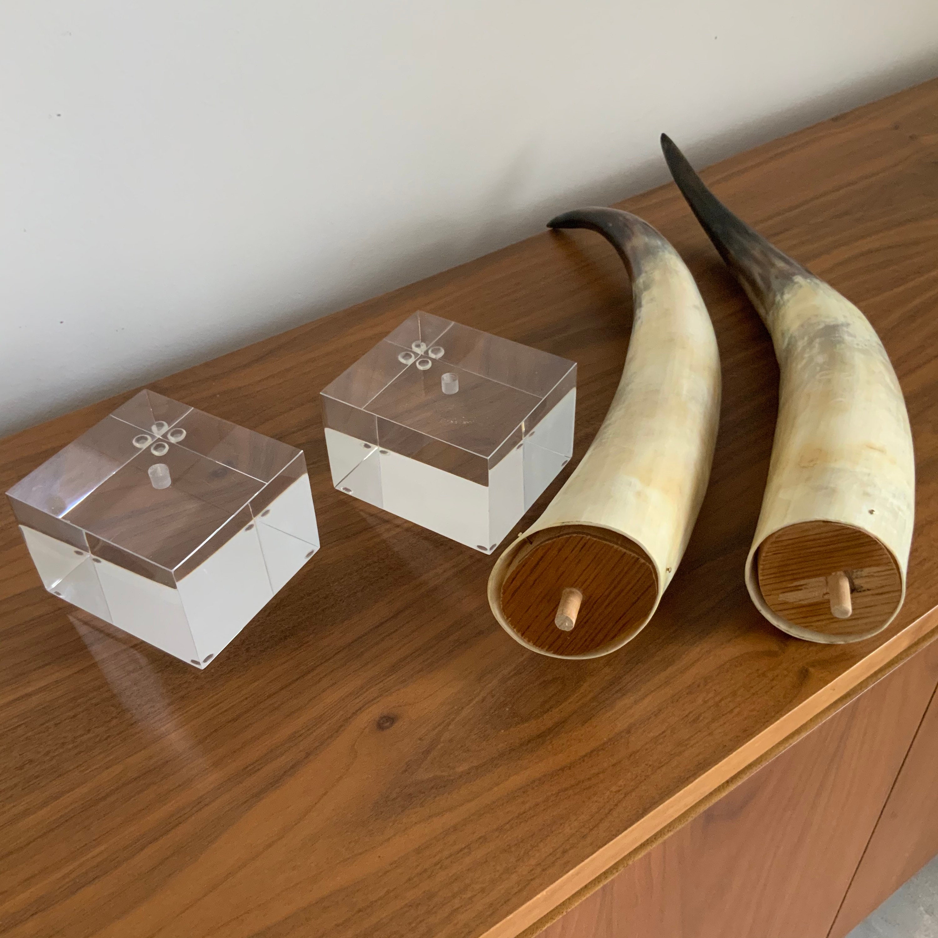 Pair of Natural Bull Horns Mounted on Lucite Base. Etsy