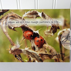 May include: A greeting card featuring two ladybugs on a thorny plant. The ladybugs are red with black spots. The card has the text "when we hit the rough patches in life..." and the artist's signature.