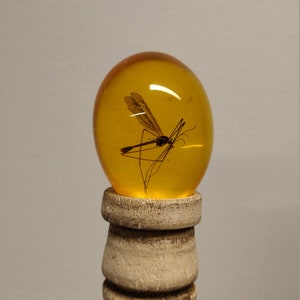 perfect and complete John Hammond cane with real and Hybrid insect in amber 3D - Jurassic Park - artisan stick in resistant image 4