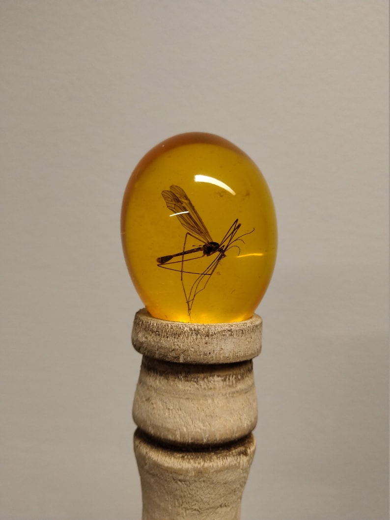 perfect and complete John Hammond cane with real and Hybrid insect in amber 3D - Jurassic Park - artisan stick in resistant image 4