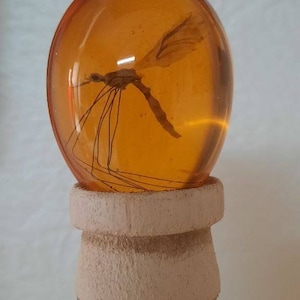 perfect and complete John Hammond cane with real and Hybrid insect in amber 3D - Jurassic Park - artisan stick in resistant HYBRID JURASSICK