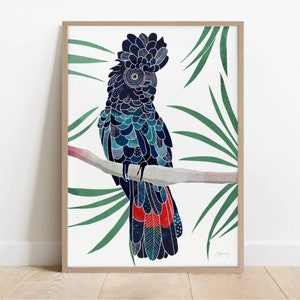 Red tailed cockatoo print, bird print, black cockatoo, black cockatoo painting, australian native, Australian bird, Australian, bird art