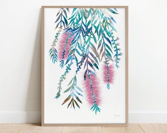 Pink bottlebrush print, botanical, Living Room art, flower painting, Australian native, Australian native art, wall art, print decor