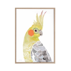 Puede incluir: Una impresi&oacute;n en acuarela enmarcada de un cacat&uacute;a. El ave presenta colores amarillo, gris, naranja y blanco con patrones decorativos. La obra de arte est&aacute; sobre un fondo blanco y enmarcada en un marco de madera marr&oacute;n claro.