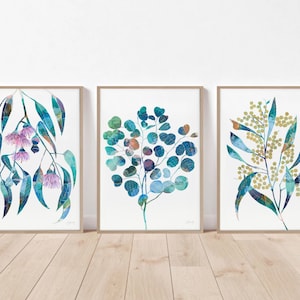 Australian native botanical print set of 3, flower wall art, living room poster, floral wall decor,  Australian flower print, gifts for her