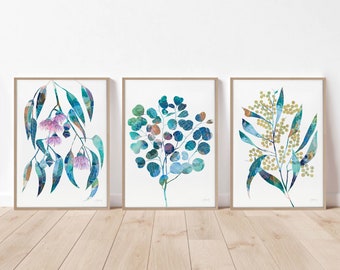 Australian native botanical print set of 3, flower wall art, living room poster, floral wall decor,  Australian flower print, gifts for her