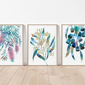 Australian native botanical print set of 3, flower wall art, living room decor, floral poster, Australian flower print, gift for her