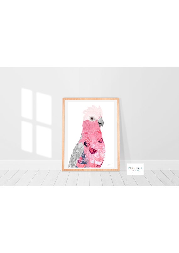 galah plush